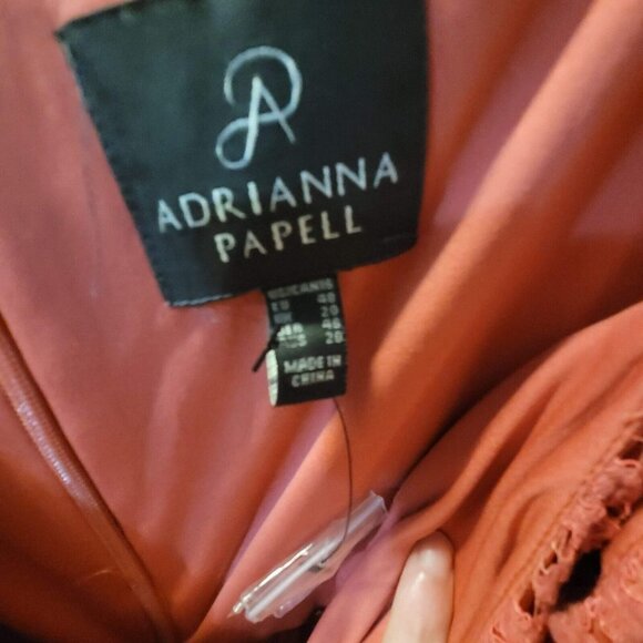 NWT Adrianna Papell Sleeveless Lace Dress Size 16 - Picture 5 of 7